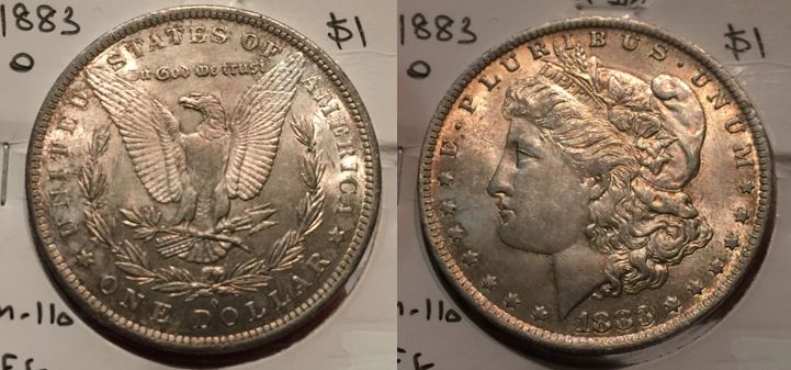 The-Most-Beautifully-Toned-Morgan-I-Have-Ever-Seen.